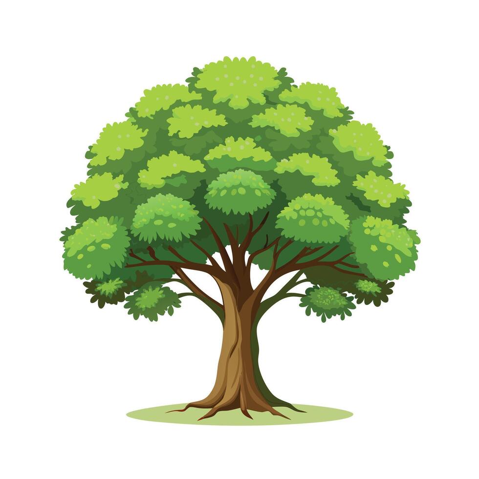 Beautiful Single Big Tree Illustration vector