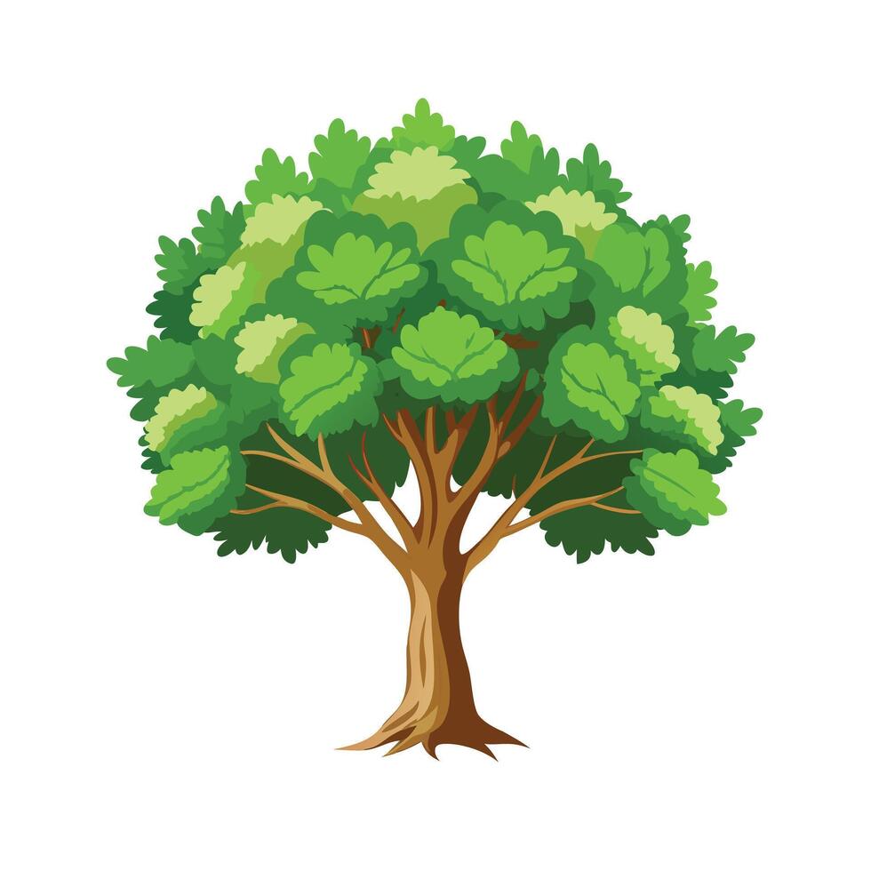 Beautiful Single Big Tree Illustration vector