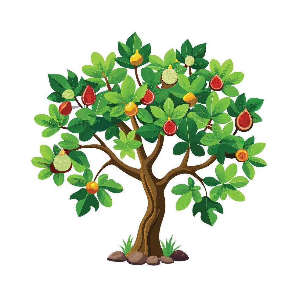 Beautiful Single Big Tree Illustration vector