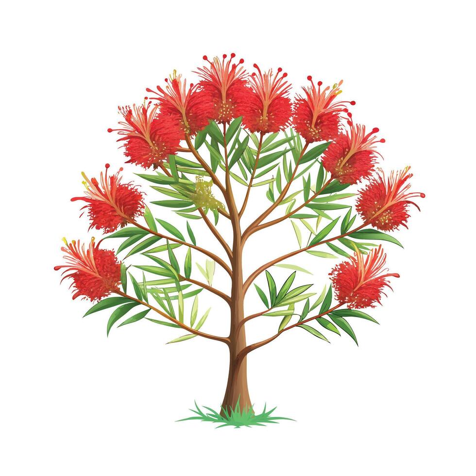Beautiful Single Big Tree Illustration vector