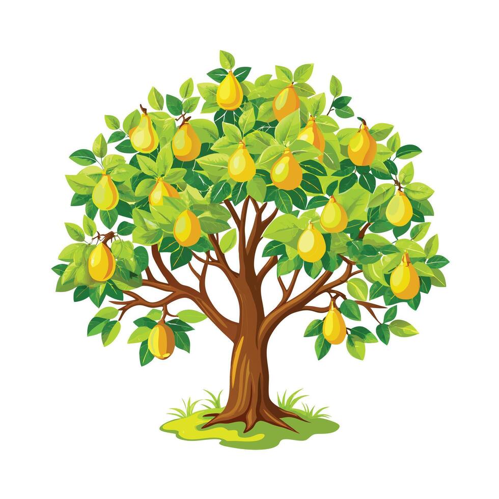 Beautiful Single Big Tree Illustration vector