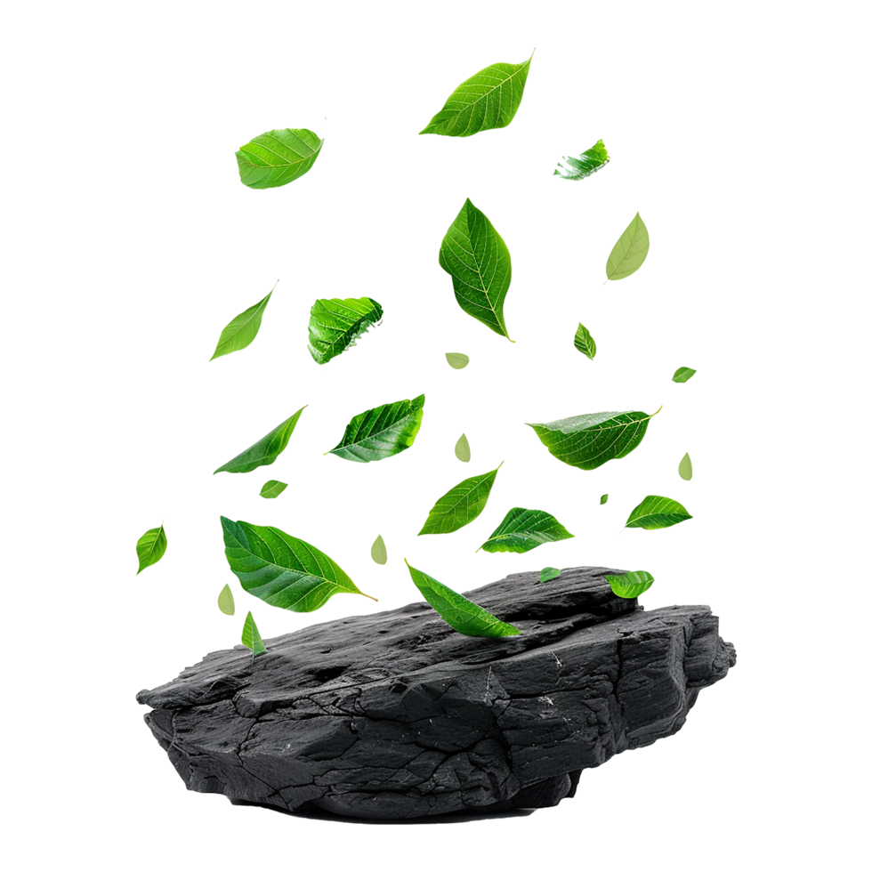 Isolated greenery leaves falling down on black rocks transparent background png