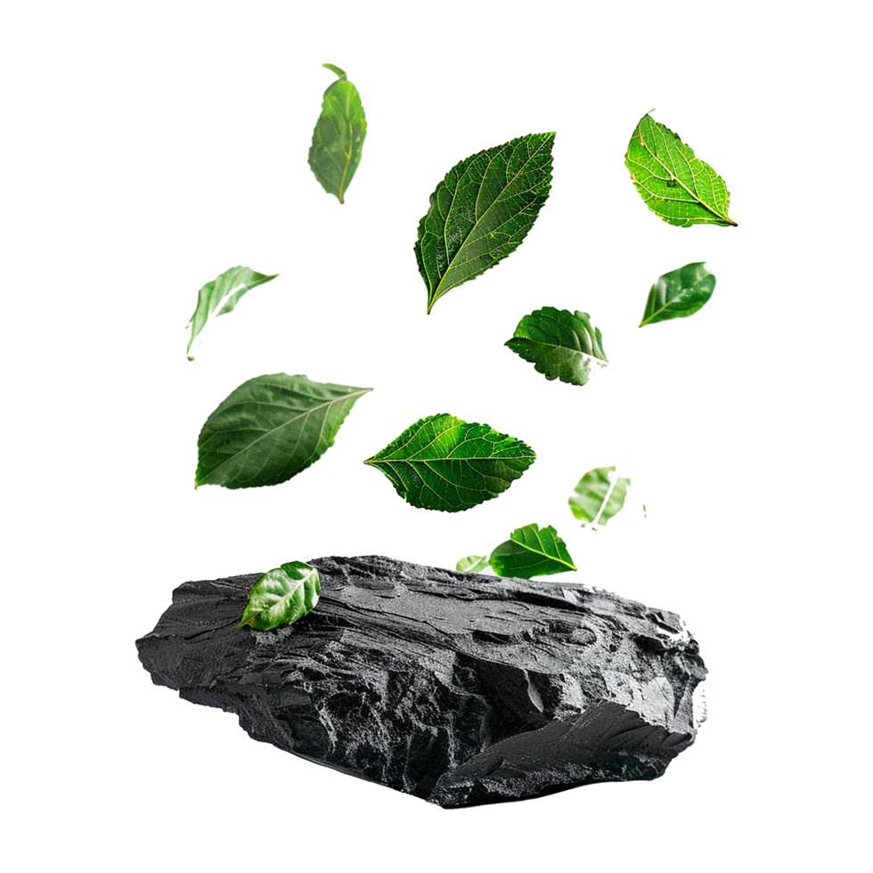 Isolated greenery leaves falling down on black rocks transparent background png