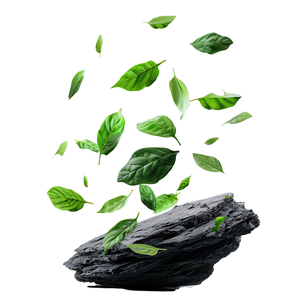 Isolated greenery leaves falling down on black rocks transparent background png