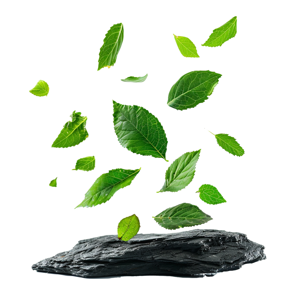 Isolated greenery leaves falling down on black rocks transparent background png