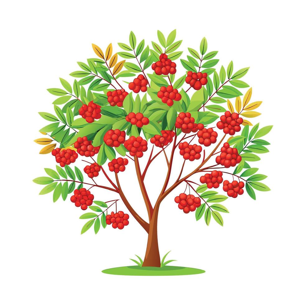 Beautiful Single Big Tree Illustration vector