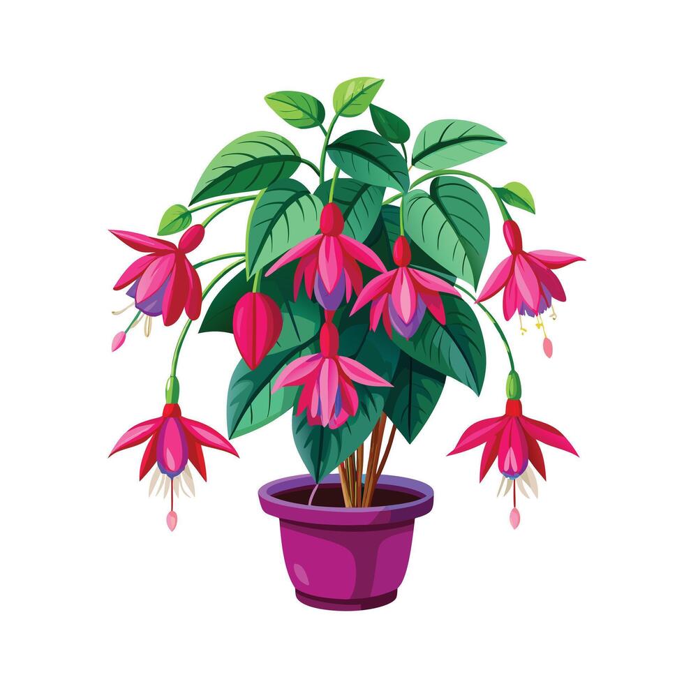 Beautiful Flowerpot Houseplant Illustration vector