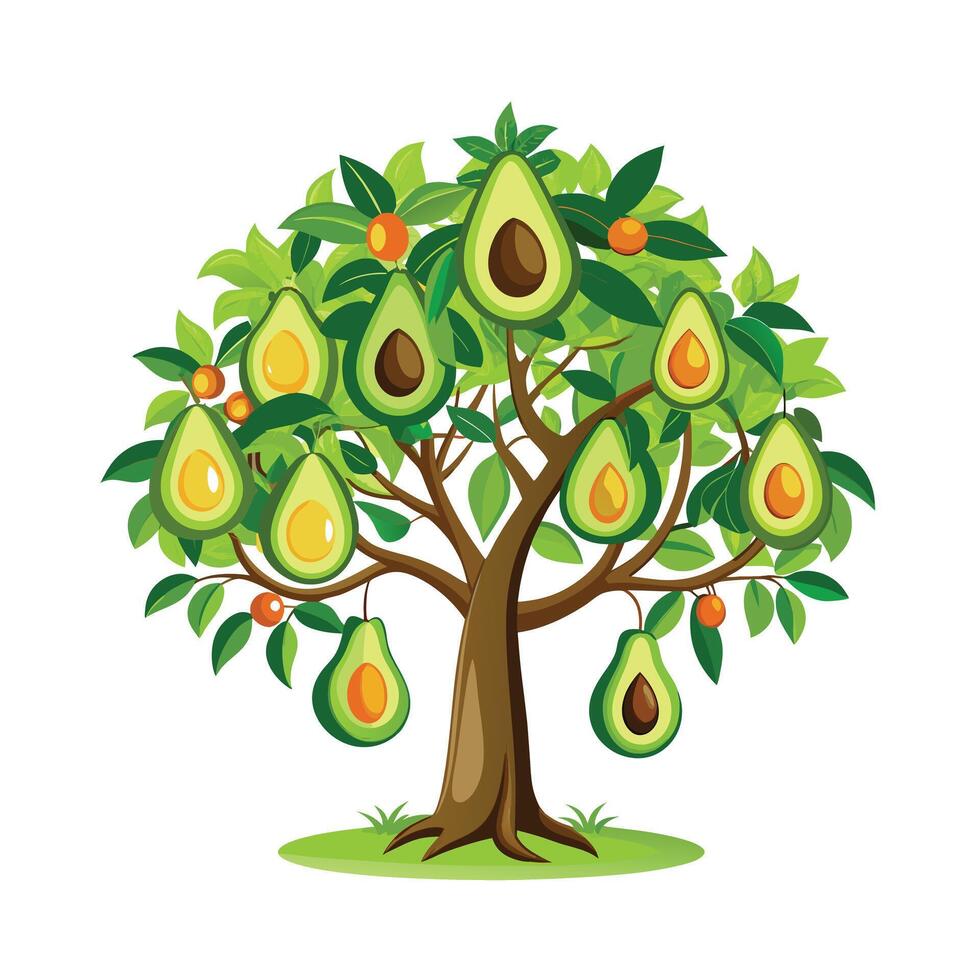 Beautiful Single Big Tree Illustration vector