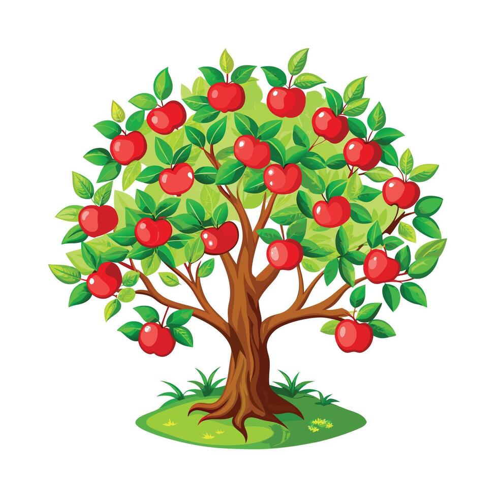 Beautiful Single Big Tree Illustration vector