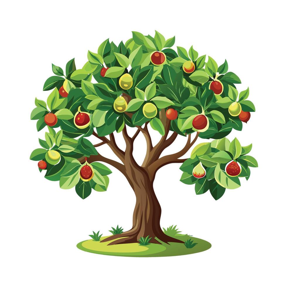 Beautiful Single Big Tree Illustration vector