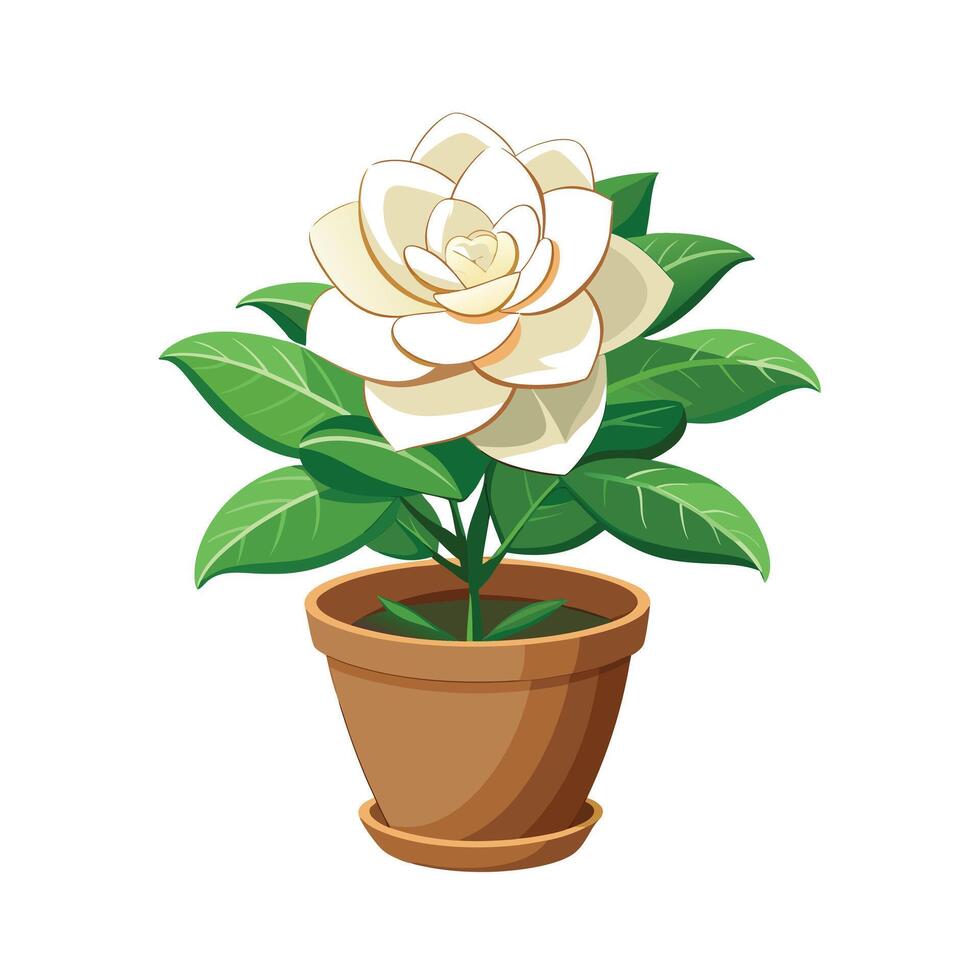 Beautiful Flowerpot Houseplant Illustration vector