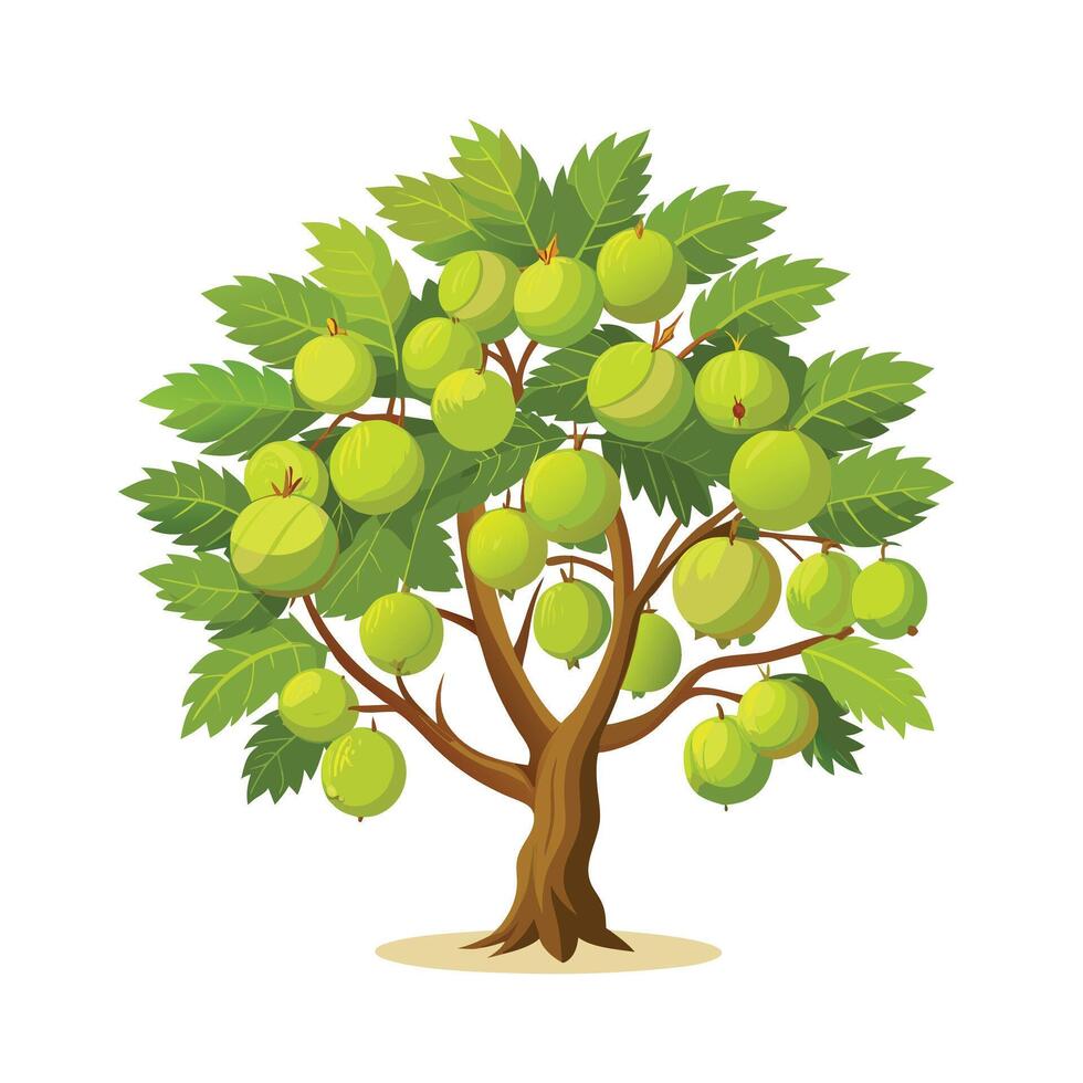 Beautiful Single Big Tree Illustration vector