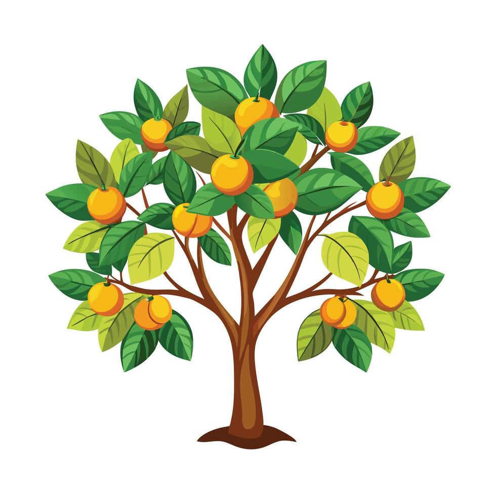 Beautiful Single Big Tree Illustration vector