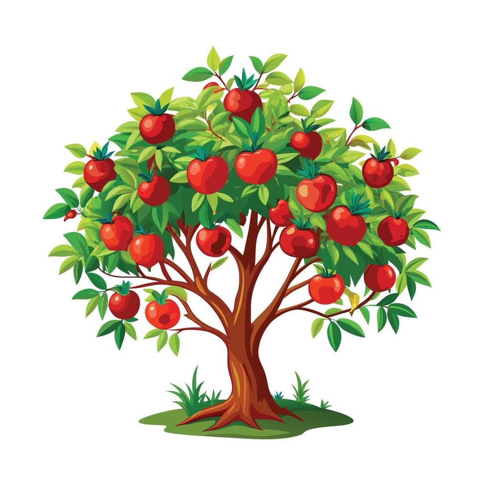 Beautiful Single Big Tree Illustration vector