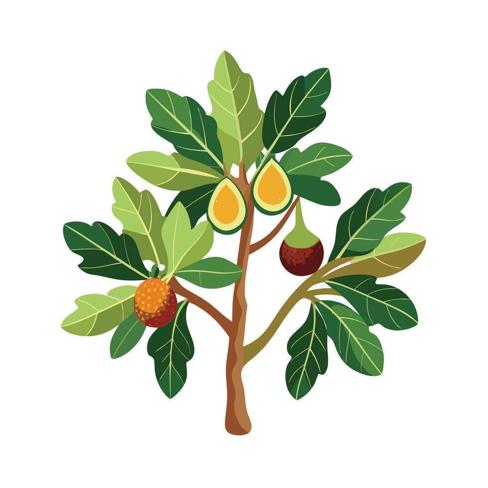 Beautiful Single Big Tree Illustration vector