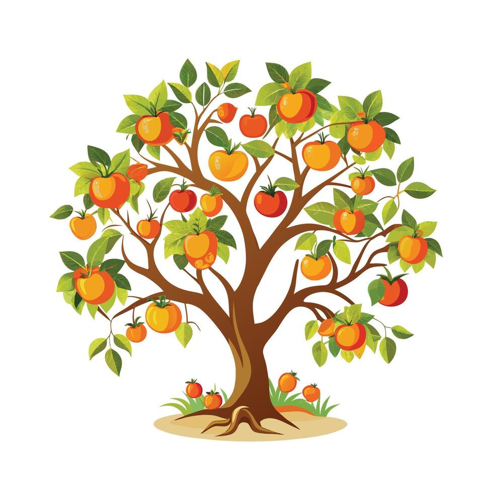Beautiful Single Big Tree Illustration vector