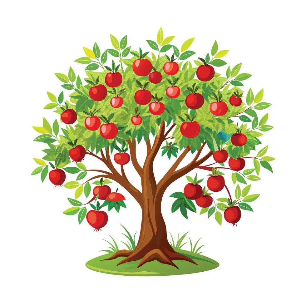 Beautiful Single Big Tree Illustration vector