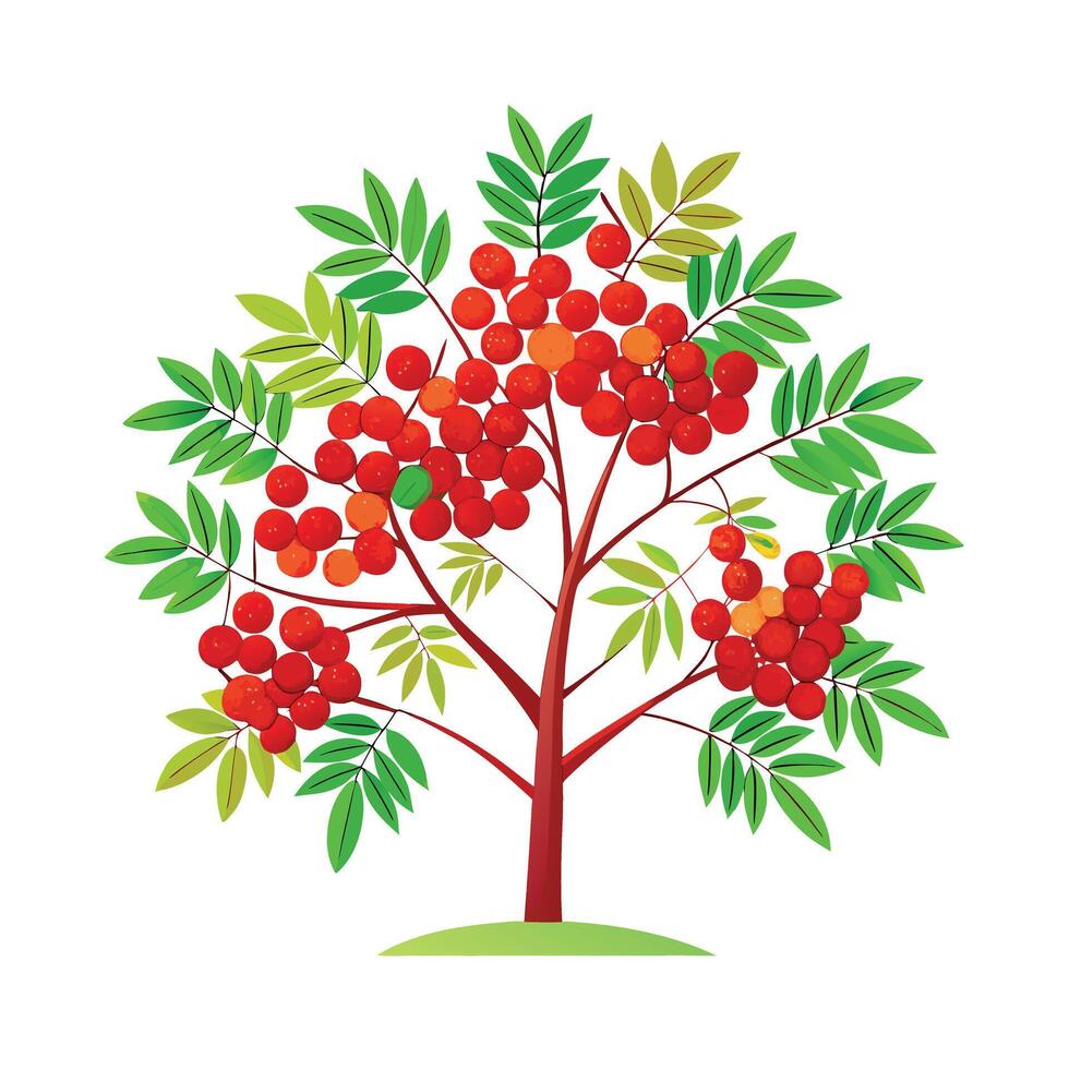 Beautiful Single Big Tree Illustration vector