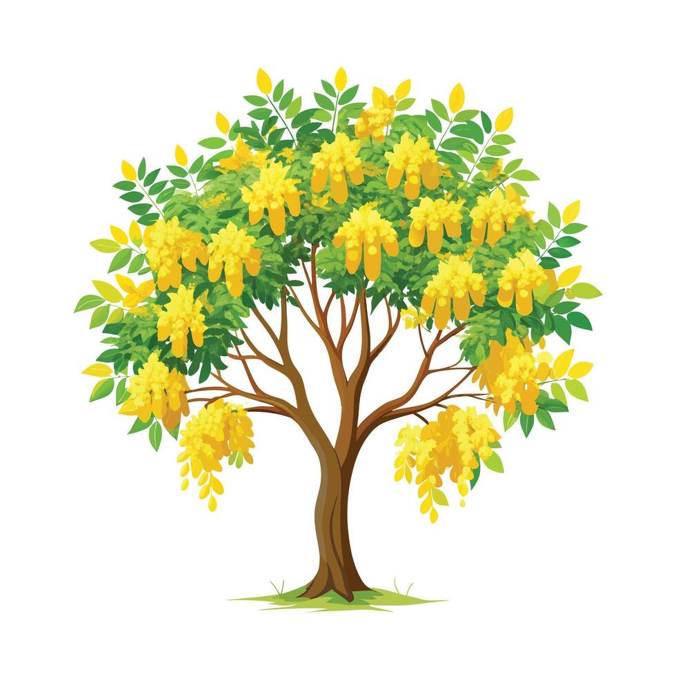 Beautiful Single Big Tree Illustration vector