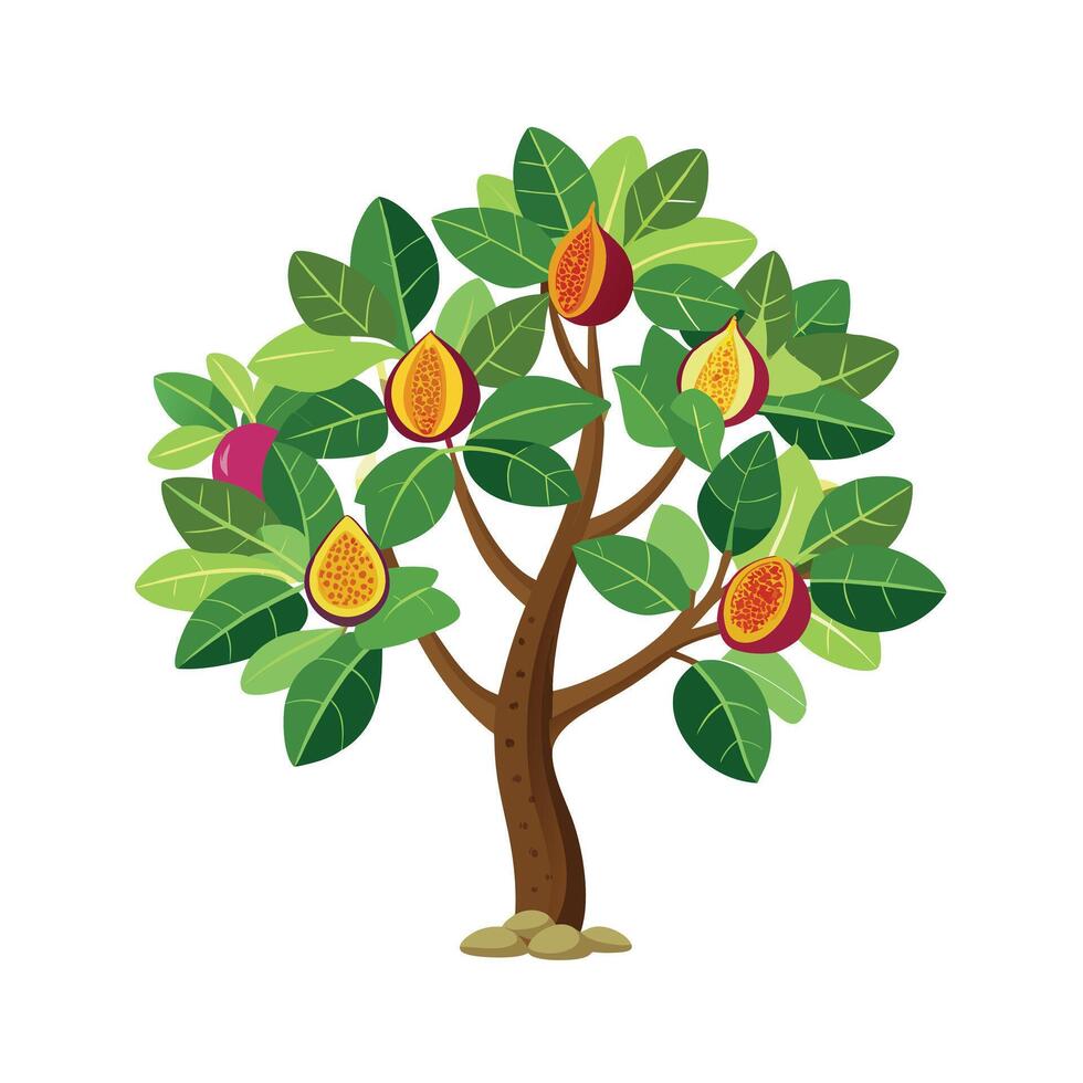 Beautiful Single Big Tree Illustration vector