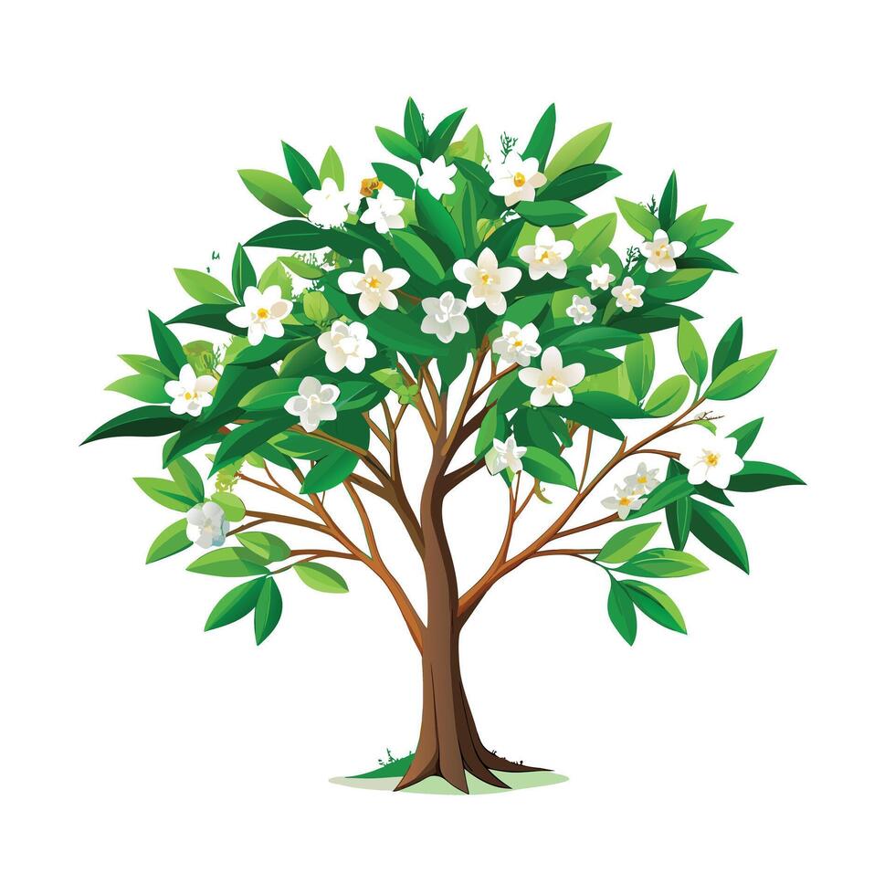 Beautiful Single Big Tree Illustration vector