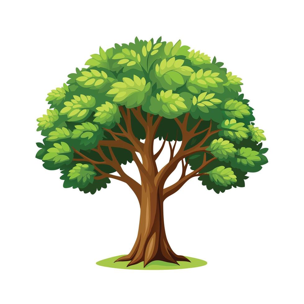 Beautiful Single Big Tree Illustration vector