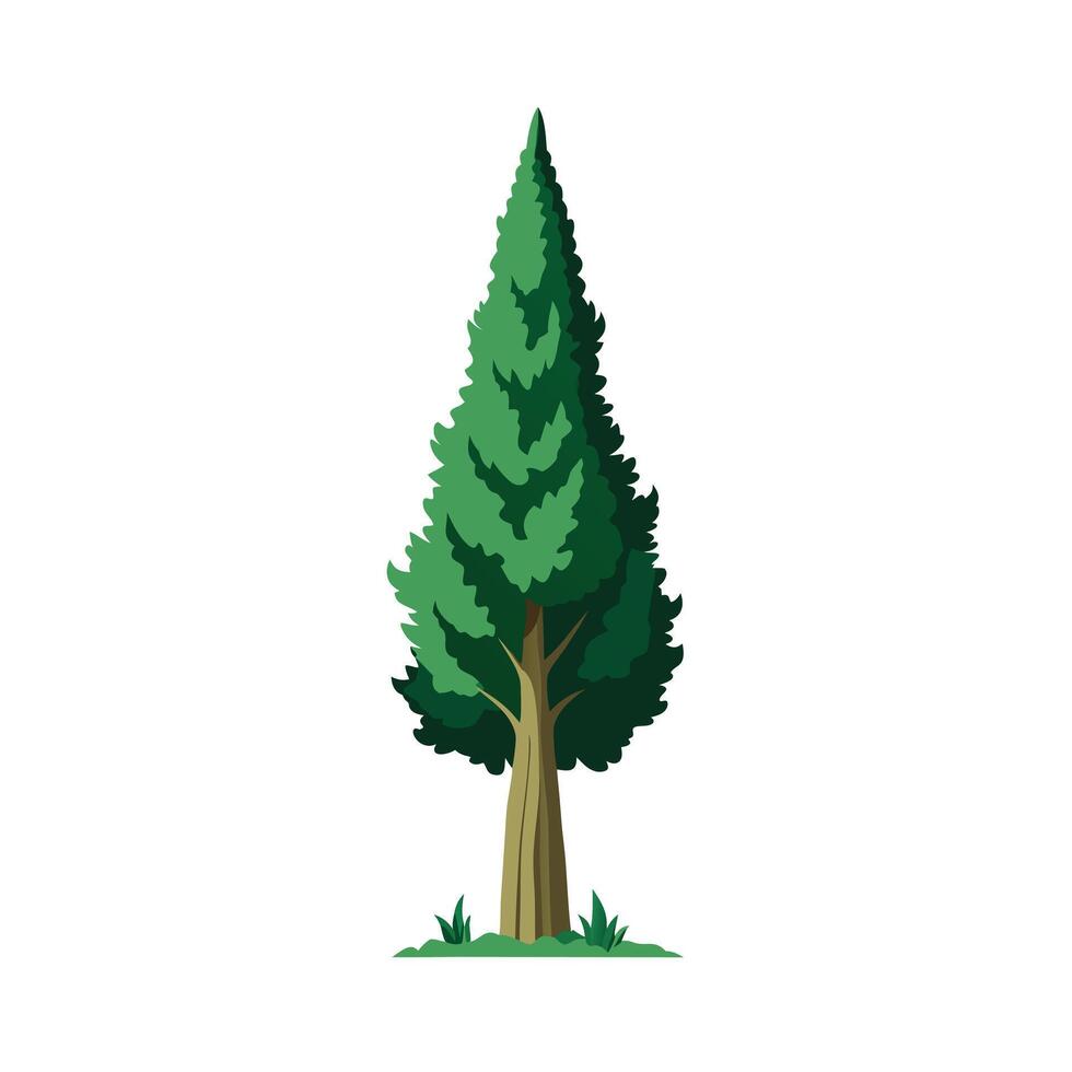Beautiful Single Big Tree Illustration vector