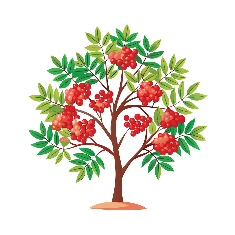 Beautiful Single Big Tree Illustration vector