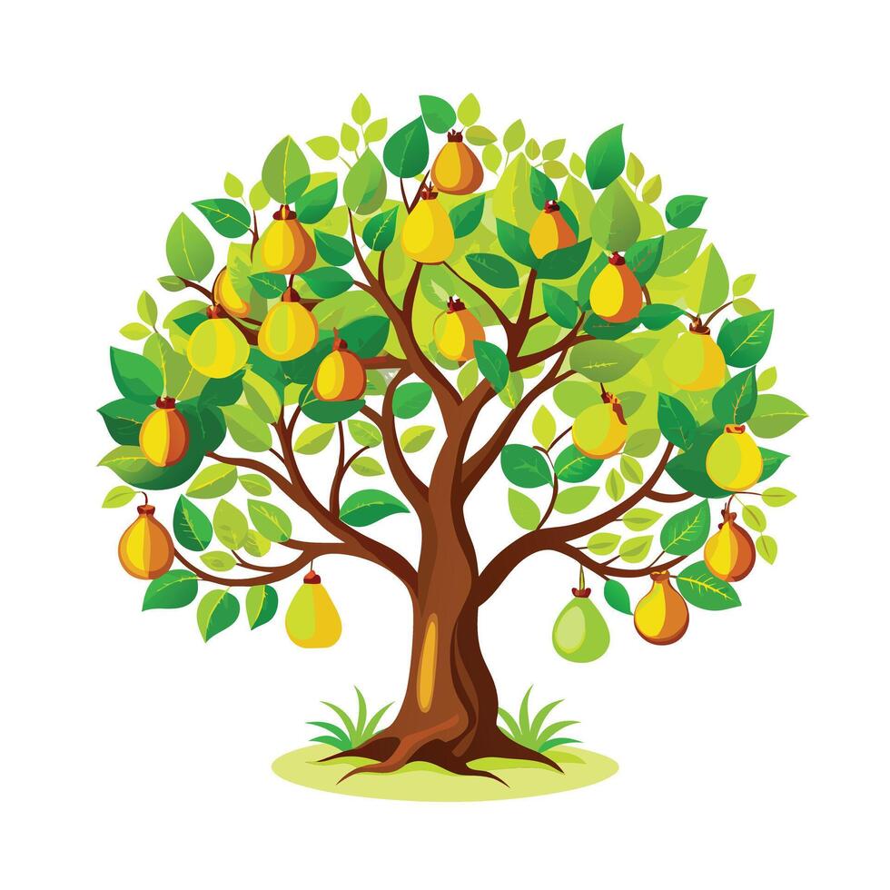 Beautiful Single Big Tree Illustration vector