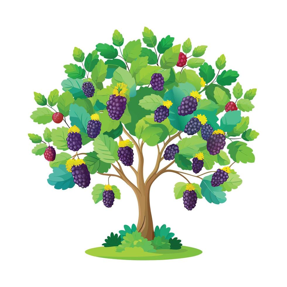 Beautiful Single Big Tree Illustration vector