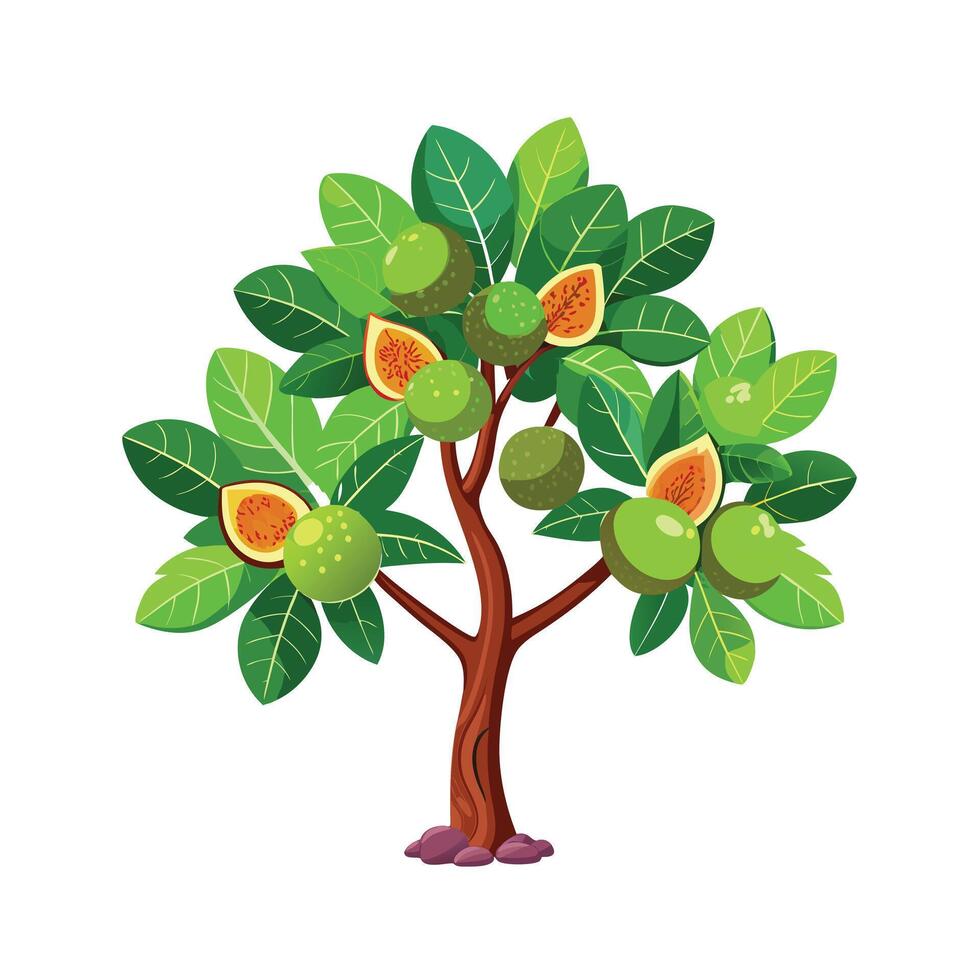Beautiful Single Big Tree Illustration vector
