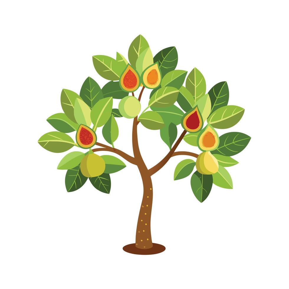 Beautiful Single Big Tree Illustration vector