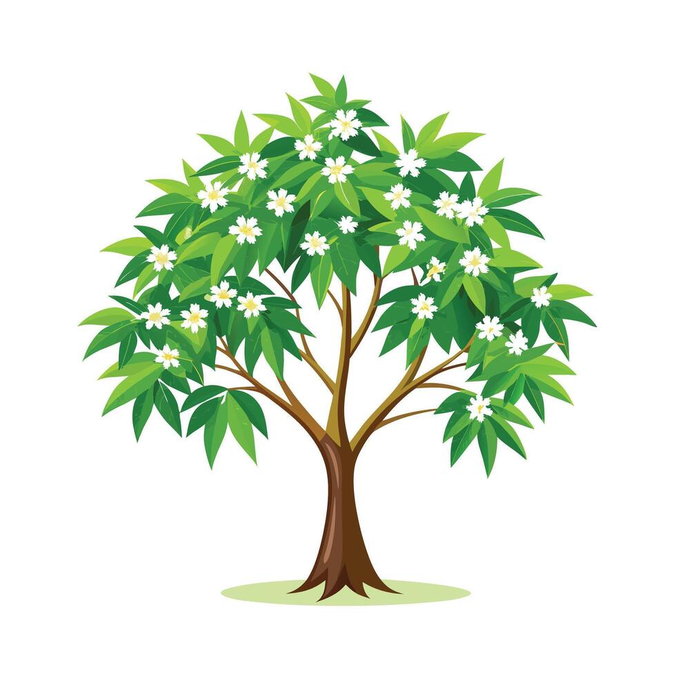 Beautiful Single Big Tree Illustration vector
