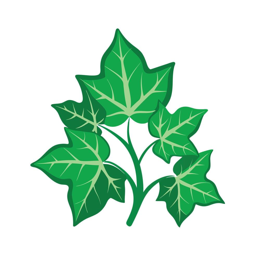 Realistic Beautiful Leaves Illustration vector