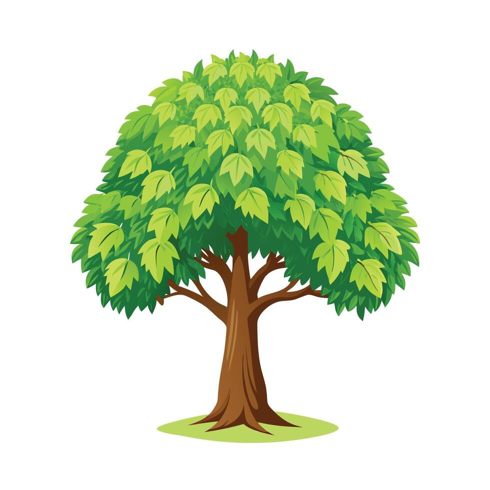 Beautiful Single Big Tree Illustration vector
