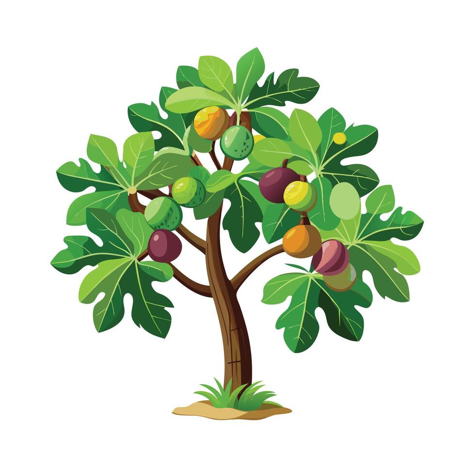 Beautiful Single Big Tree Illustration vector
