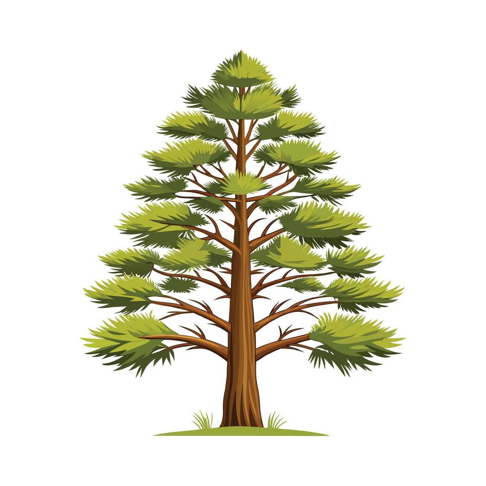 Beautiful Single Big Tree Illustration vector