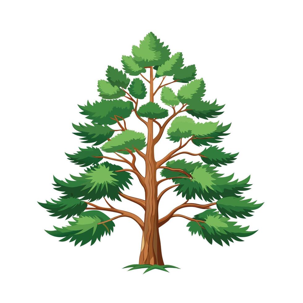 Beautiful Single Big Tree Illustration vector