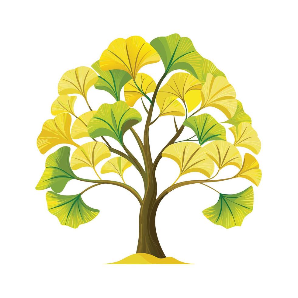 Beautiful Single Big Tree Illustration vector