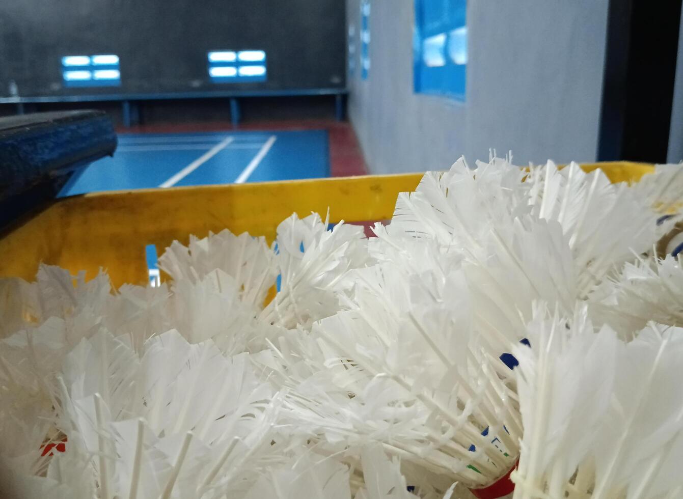 Shuttlecocks in the badminton arena photo