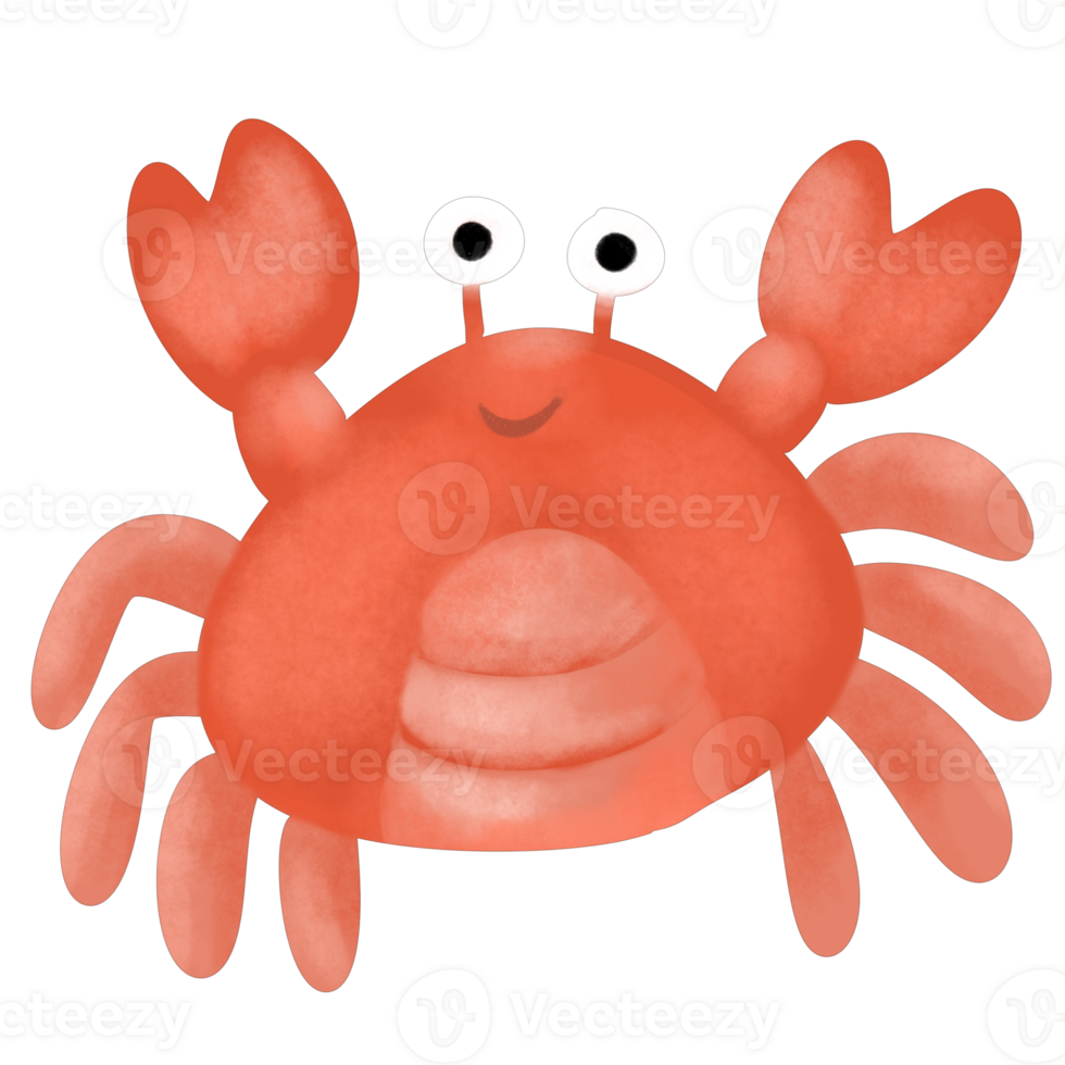 Red crab in the summer beach png