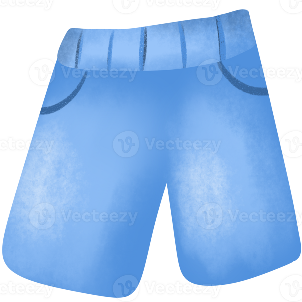shorts flat , clothing png