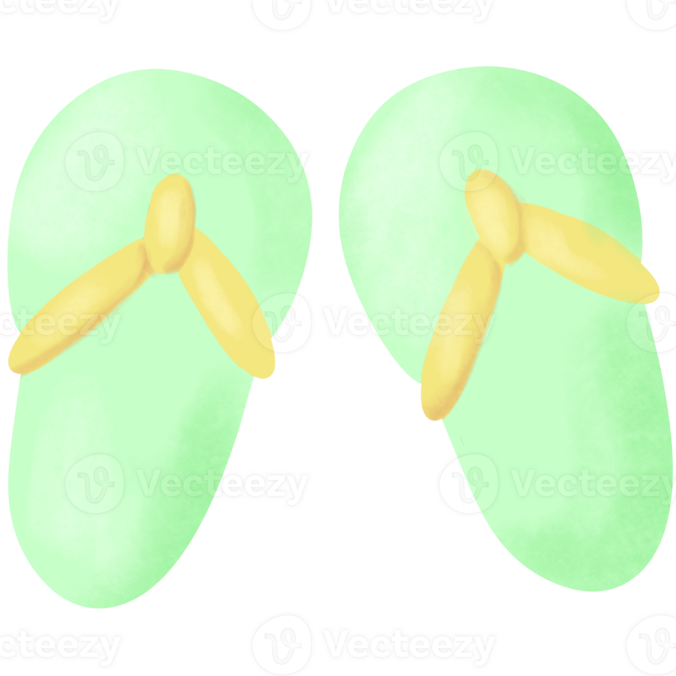 Watercolor summer shoes. png
