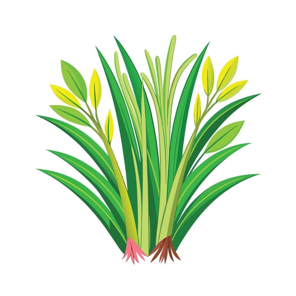 Realistic Beautiful Herbs Illustration vector