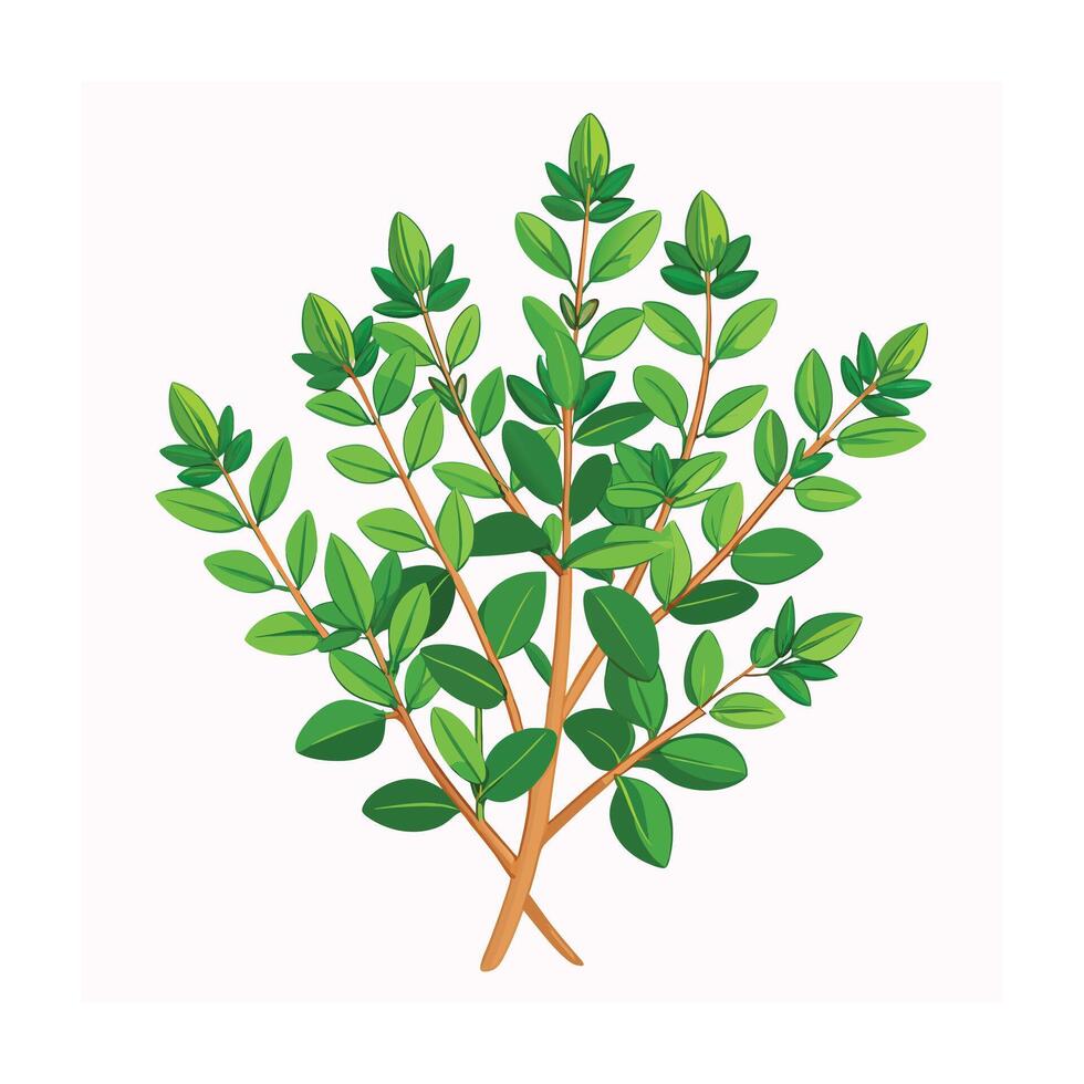 Realistic Beautiful Herbs Illustration vector