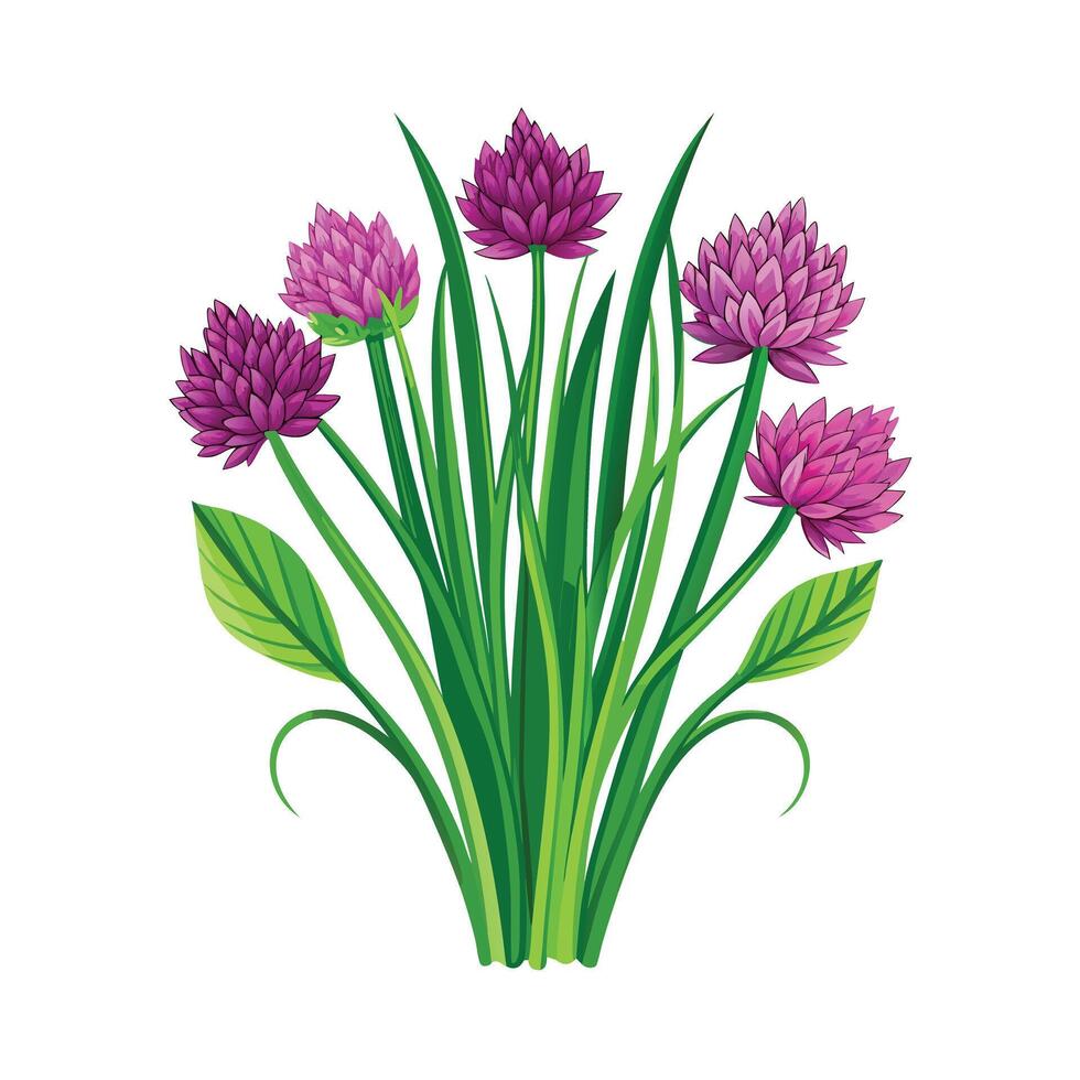 Realistic Beautiful Herbs Illustration vector