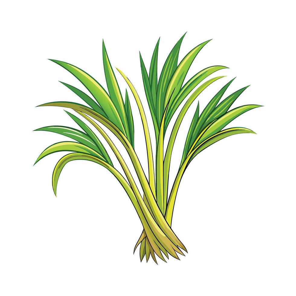 Realistic Beautiful Herbs Illustration vector
