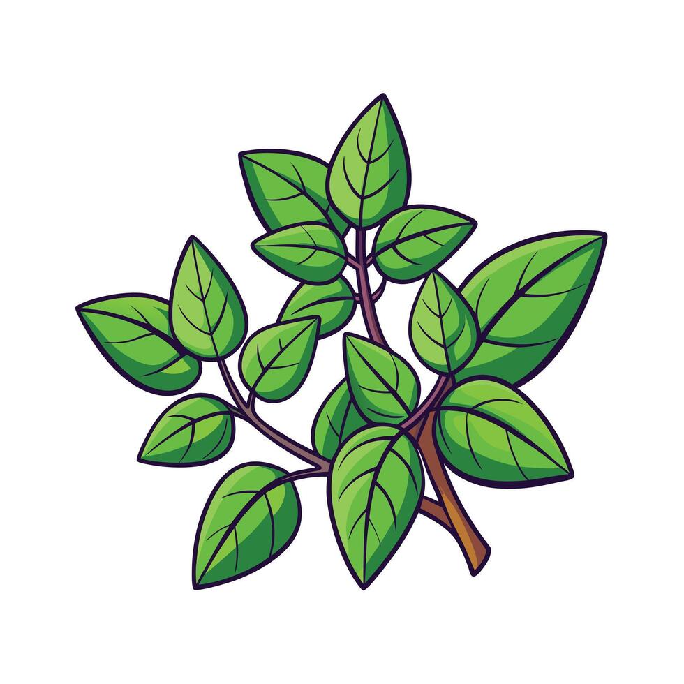 Realistic Beautiful Herbs Illustration vector
