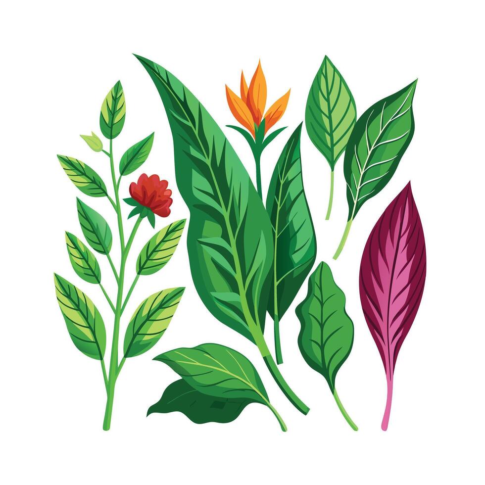 Realistic Beautiful Herbs Illustration vector