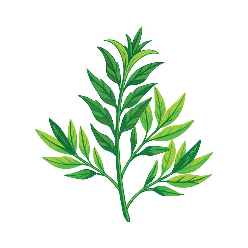 Realistic Beautiful Herbs Illustration vector